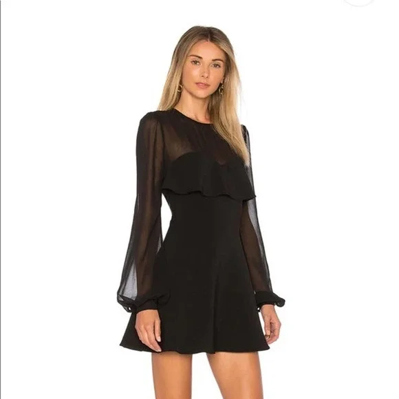 Privacy Please | Dresses | Privacy Please Newport Mini Black Fit Flare  Sheer Long Sleeve Dress | Poshmark